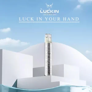 LUCKIN 幸運主機