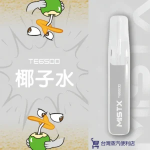 MIST X 鴨嘴獸拋棄式電子煙 一次性大容量 6500口 台灣現貨 711到付