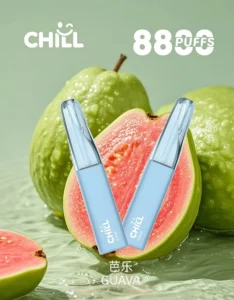 CHILL 始祖鳥 8800口拋棄式電子煙｜可充電大容量一次性煙桿 鴨嘴獸同款｜台灣現貨