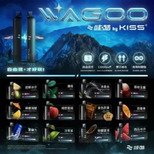 Wagoo 6500 Puffs拋棄式電子煙 哇酷6500口一次性 自由混搭雙口味 買十送一