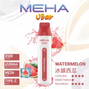 魅嗨小白條 MEHA VBar 8500口拋棄式電子煙 台灣現貨