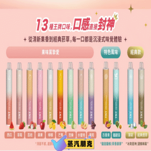 TNT 6500 PUFFS 拋棄式電子煙 3.5%尼古丁一次性電子煙煙桿 新品上市｜台灣現貨