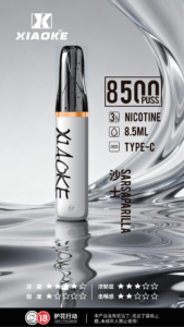 XIAOKE 8500口拋棄式電子煙 梟客鴨嘴獸一次性煙桿 超高CP值｜台灣現貨