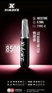 XIAOKE 8500口拋棄式電子煙 梟客鴨嘴獸一次性煙桿 超高CP值｜台灣現貨